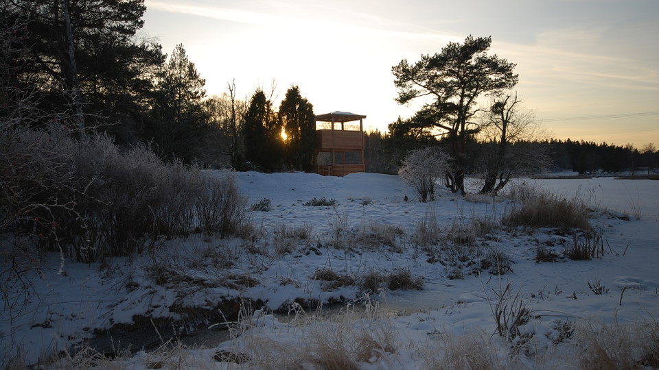 Fågeltorn vid Västra Långängskärret. Foto Lidingö stad