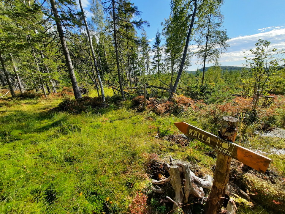 Källan ligger precis i kanten på Stora Blybergets naturreservat