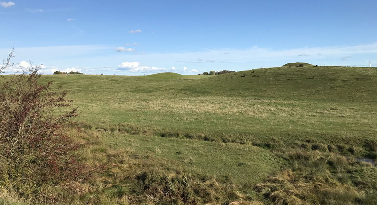 Backlandskap i Stångby mosse.