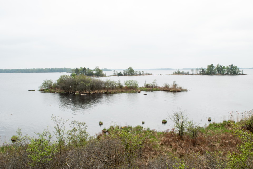 Fotograf: Tobias Ivarsson