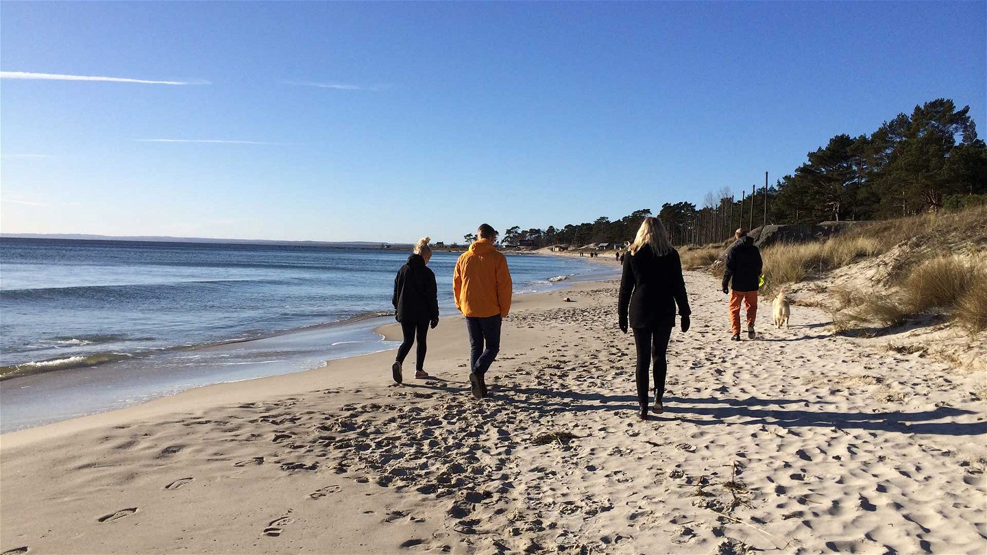 Fyra personer och en hund går på stranden.