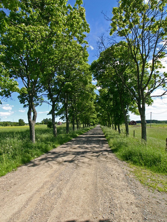 Pewee. Nedersta gård