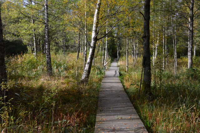 Glasbruksleden
