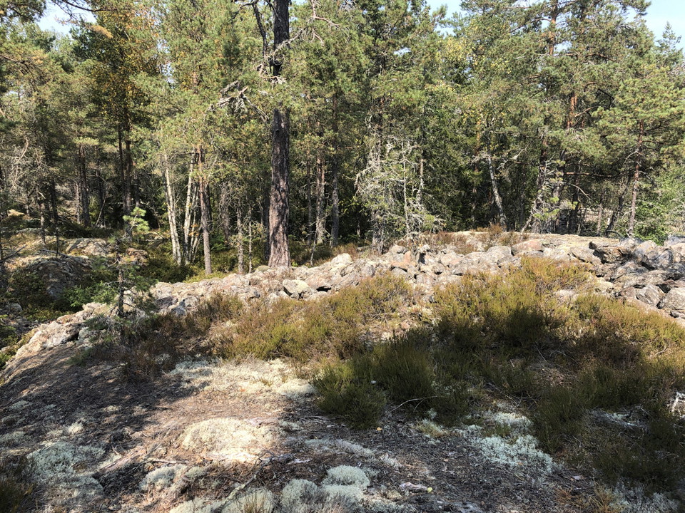 Borgbergets fornborg. 