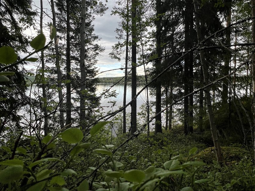 Stråsjöleden går väster om sjön Hennan