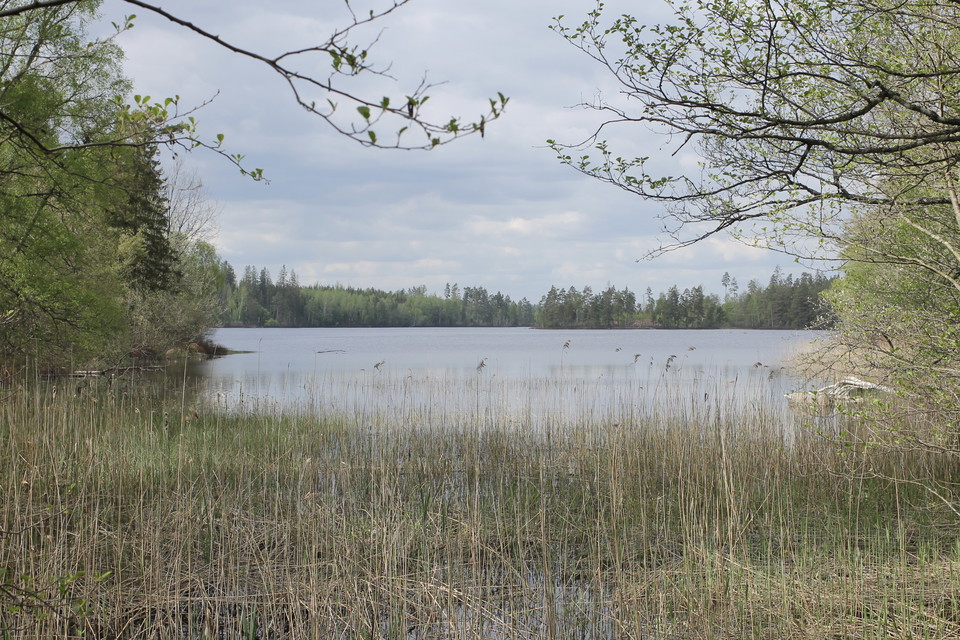 Foto: Josefine Gustafsson