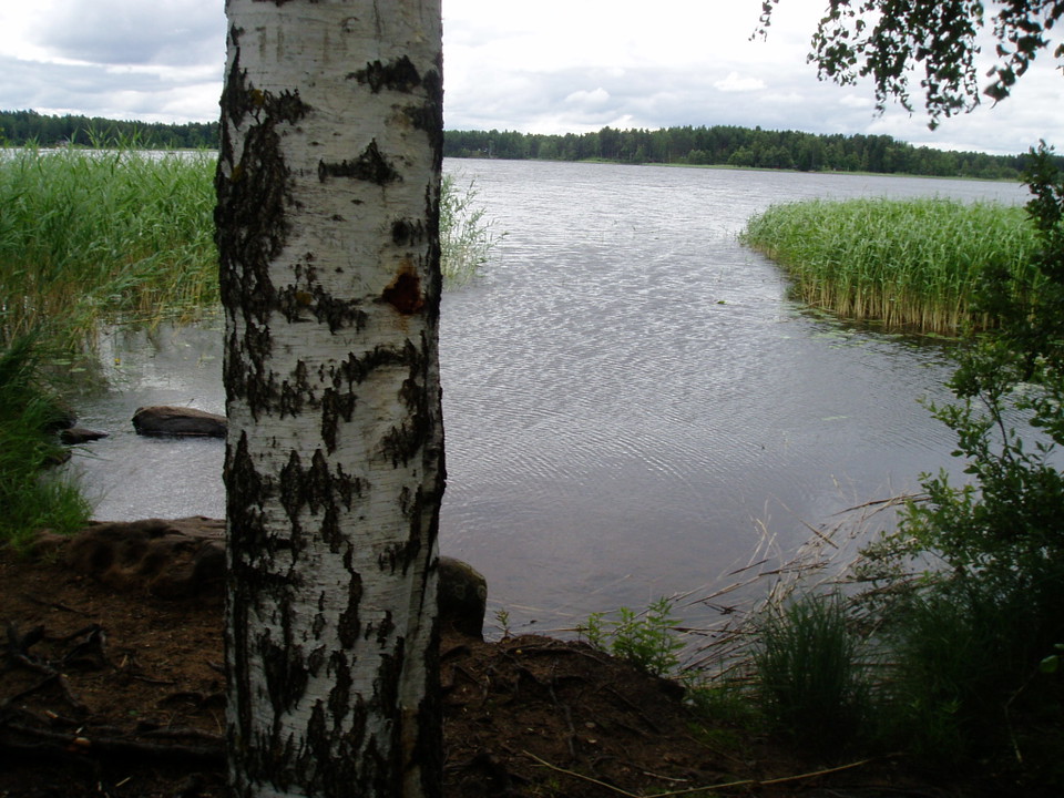 Gunnarudden