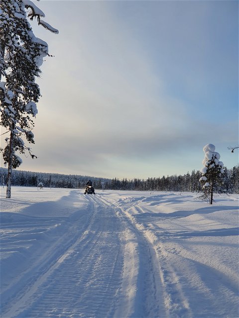 Snowmobile tracks in Överkalix