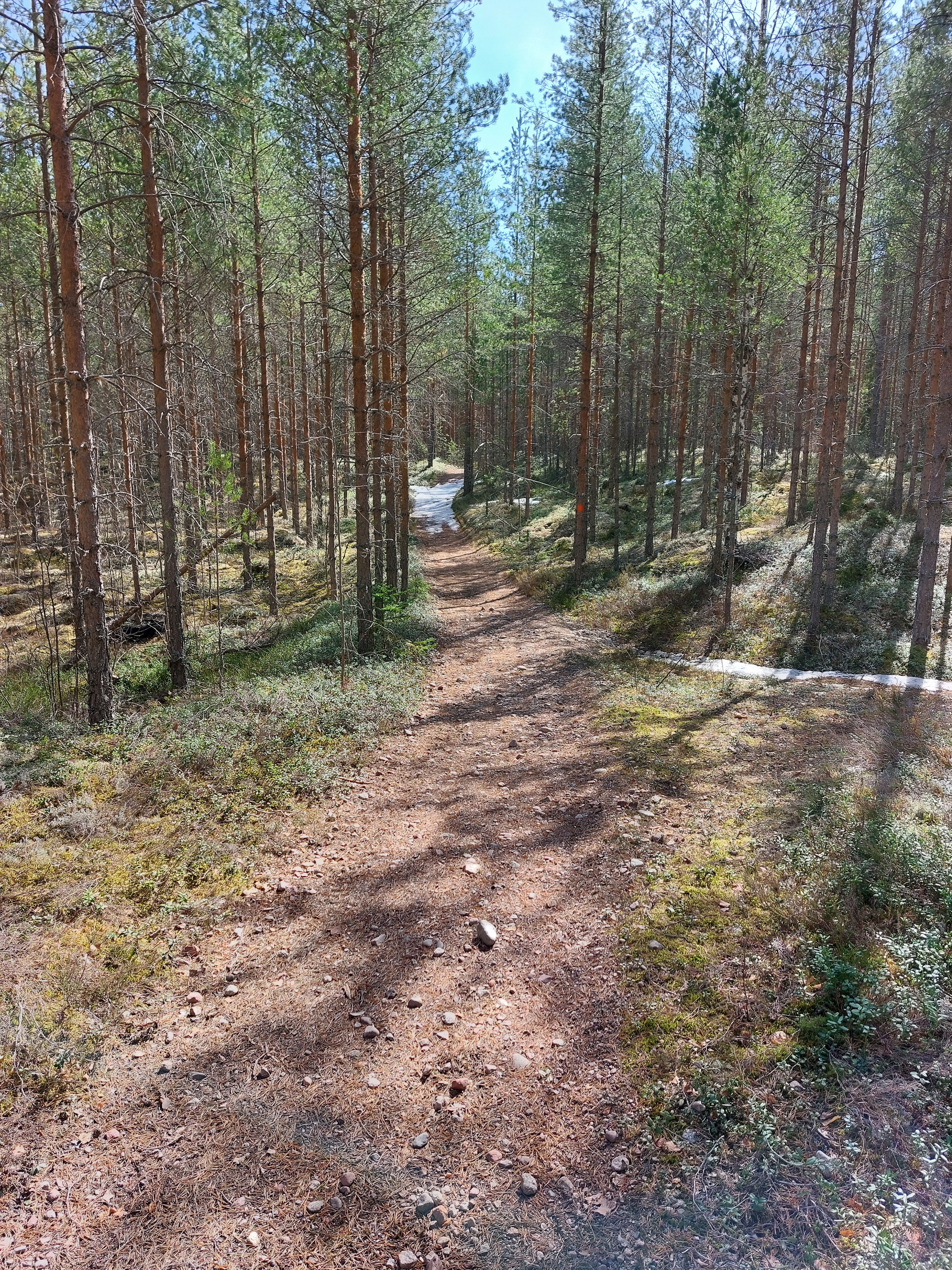 Bredare led på västra sidan