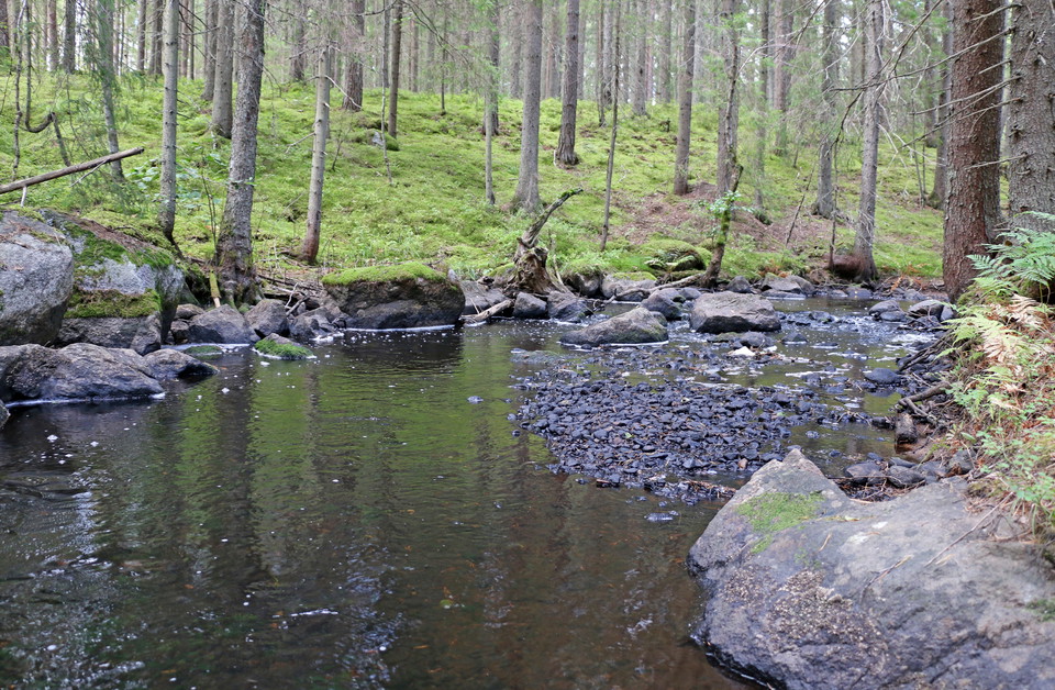Stenigt parti i Venabäcken.