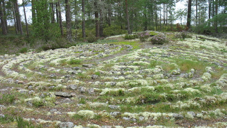 På Stora Axelön finns fornlämningar i form av stenar lagda som labyrinter.