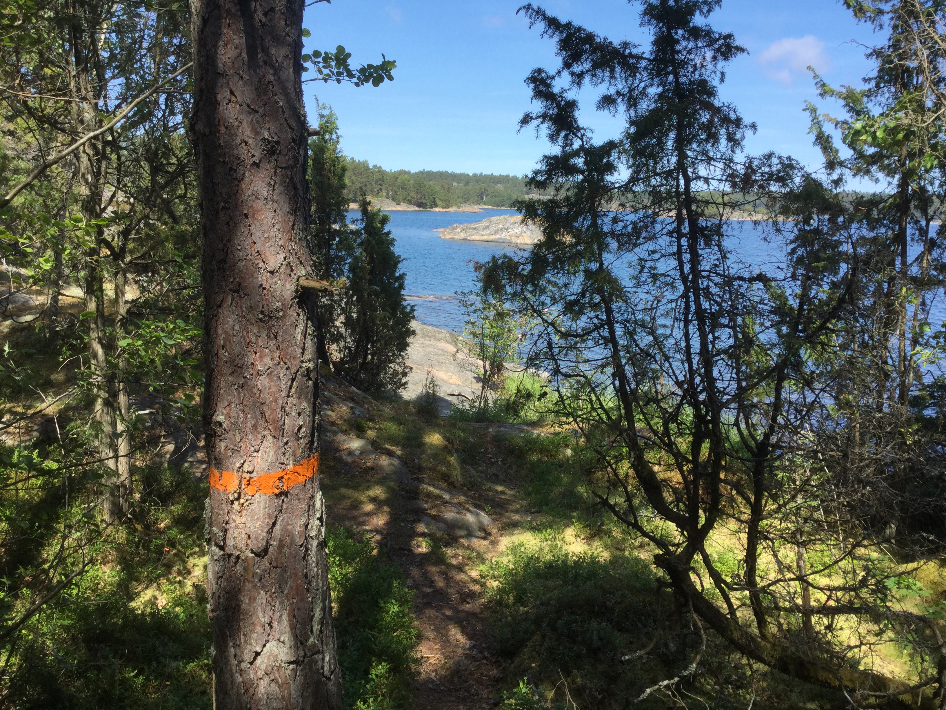 Åsviksslingan, Östgötaleden