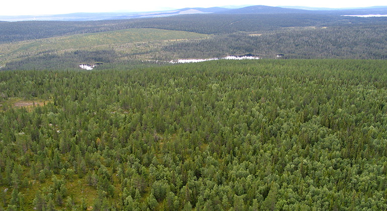 Flygbild över Lehatt.
