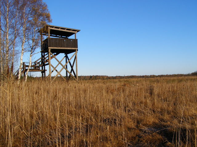 Fågeltorn, Djurstadträsk