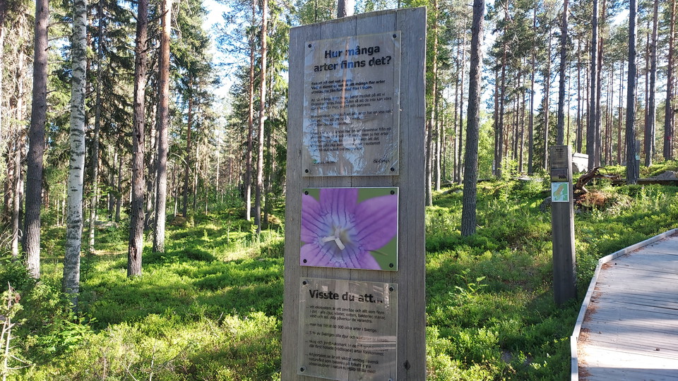 Leden kantas av intressant information om olika växter och djur. 