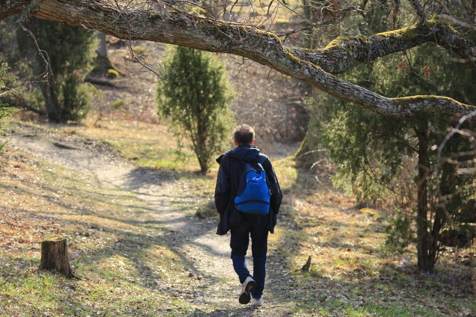 Stigen till naturbadet på Kärleksudden är välanvänd.