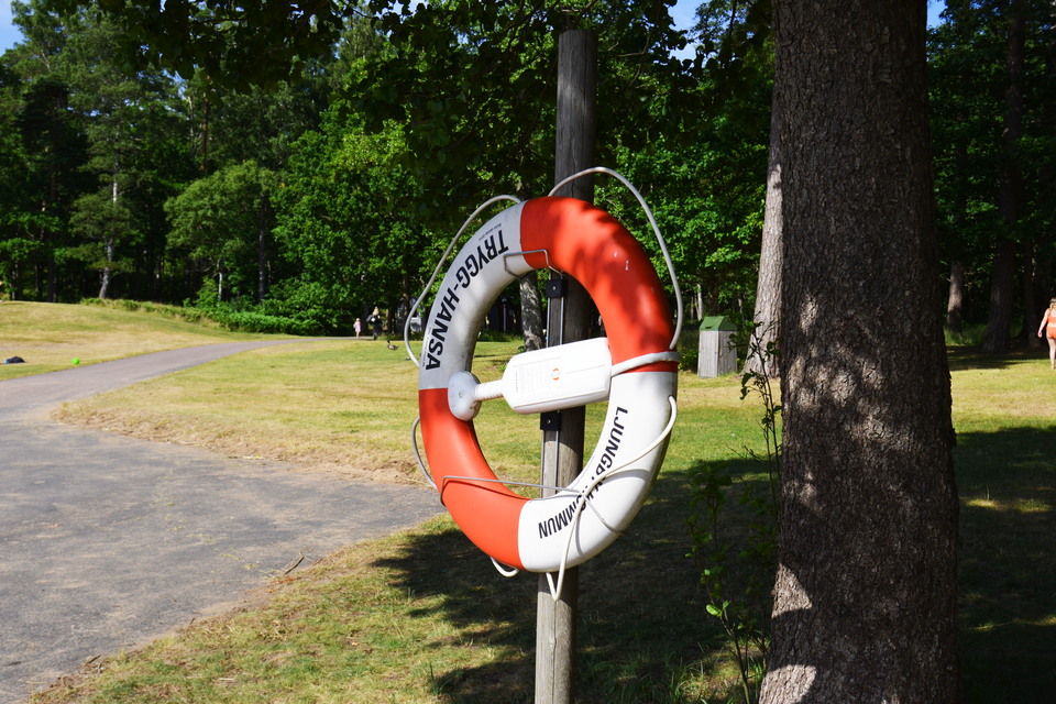 Lifebuoy