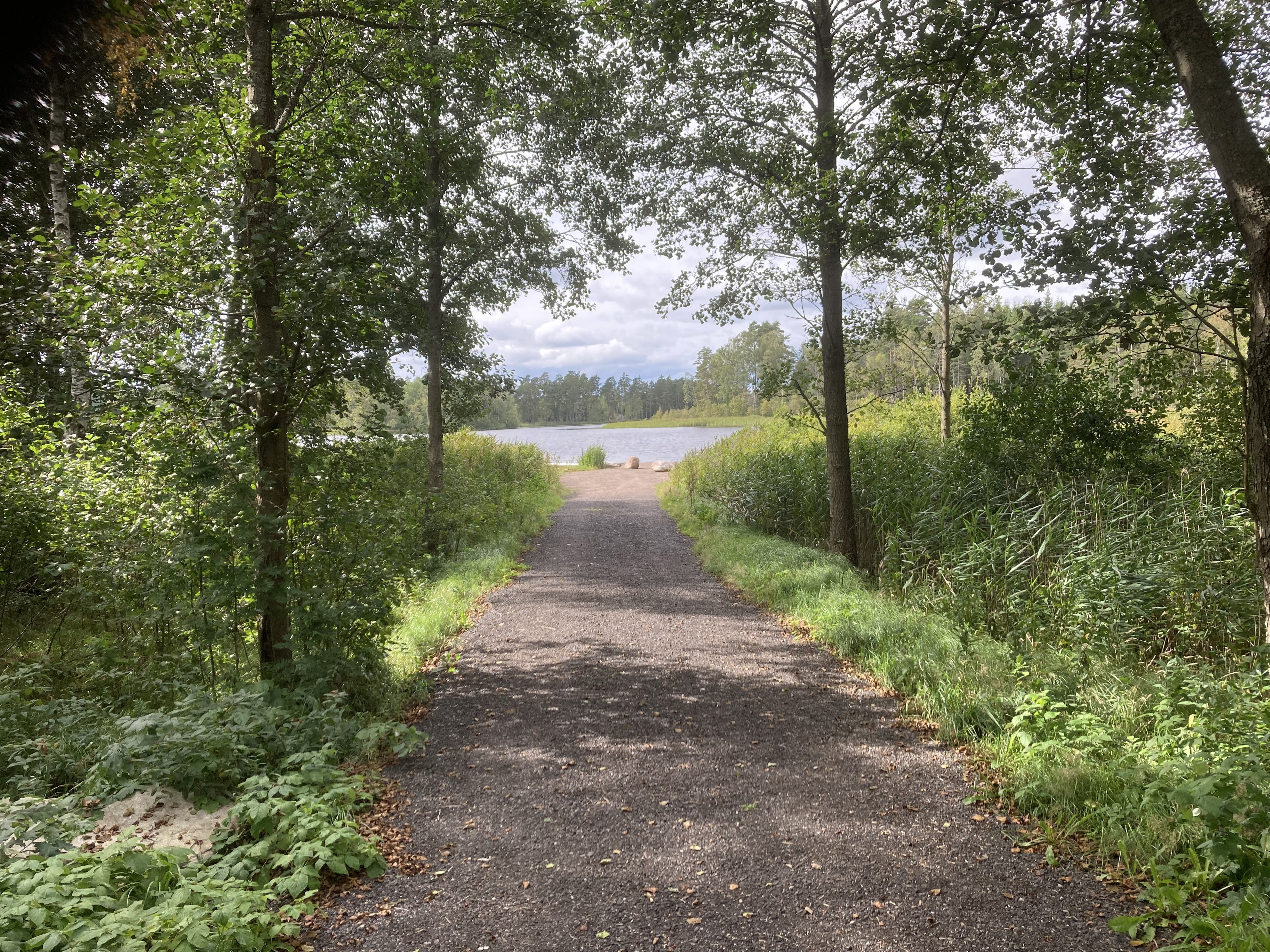 En stig i skog med vatten lite längre fram.