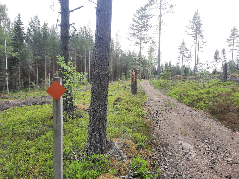 Vägen hem bjuder återigen på stora, fina stigar och grusvägar