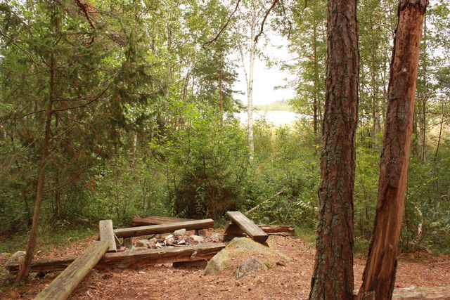 Grillplats Staffansholmen, Florarna