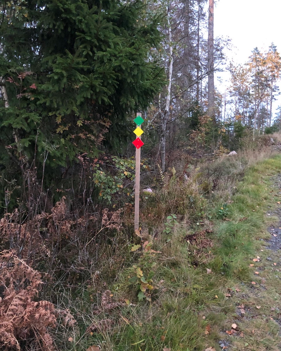 Bild: OK Skogsvargarna