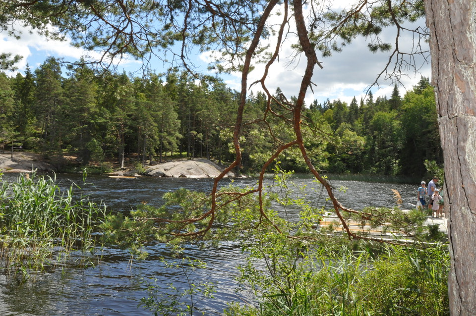 Ta ett svalkande dopp efter springturen