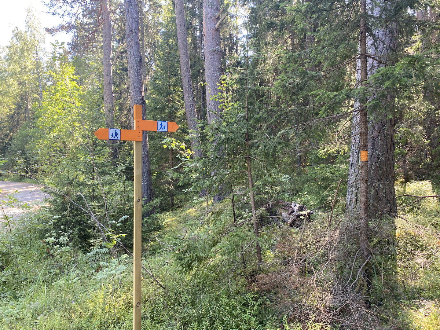 Vägvisare i orange