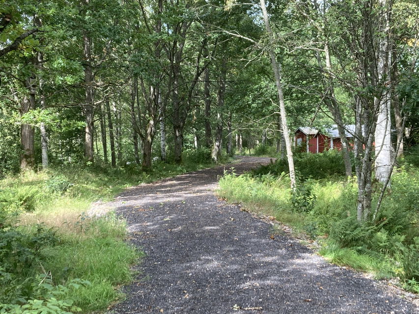 En stig i skog med två röda stugor.