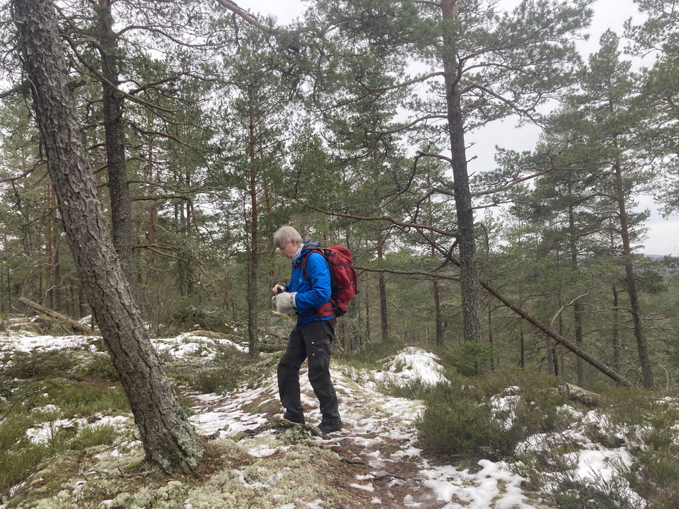 Person med ryggsäck som vandrar