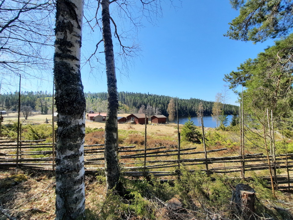 Mysig utsikt vid Bergsbosjön