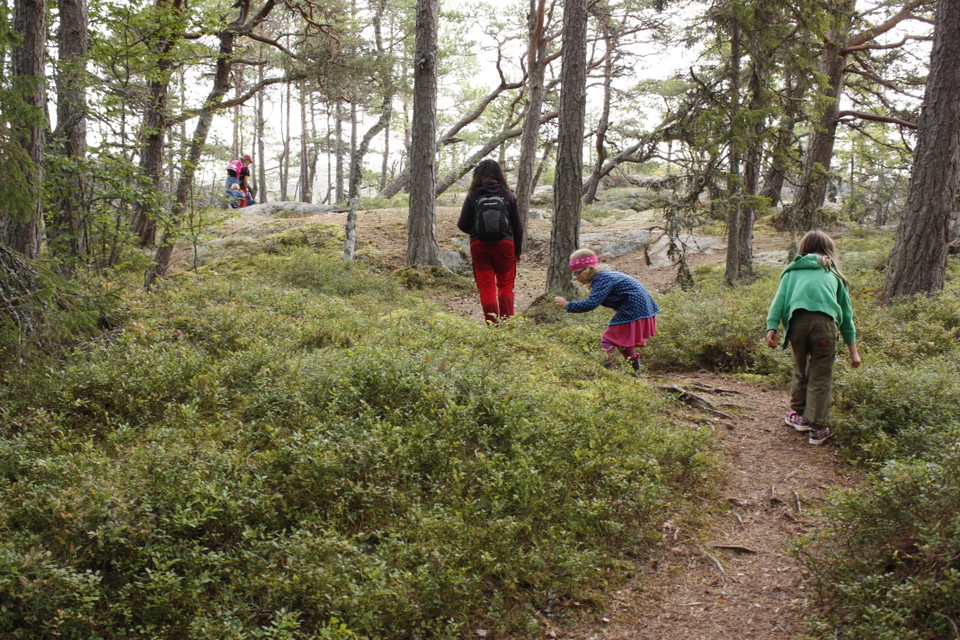 Rävspåret