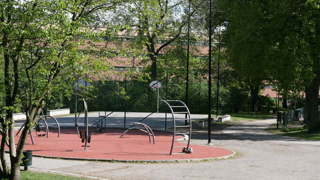 Kronobergsparkens utegym