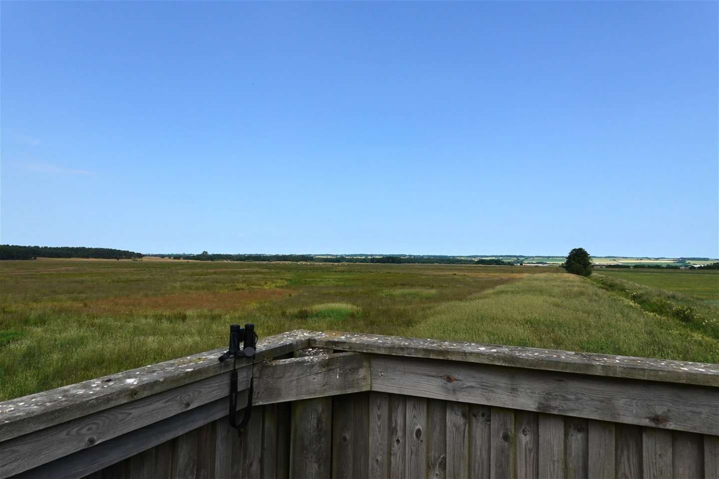 utsikt över betesmark från fågeltorn