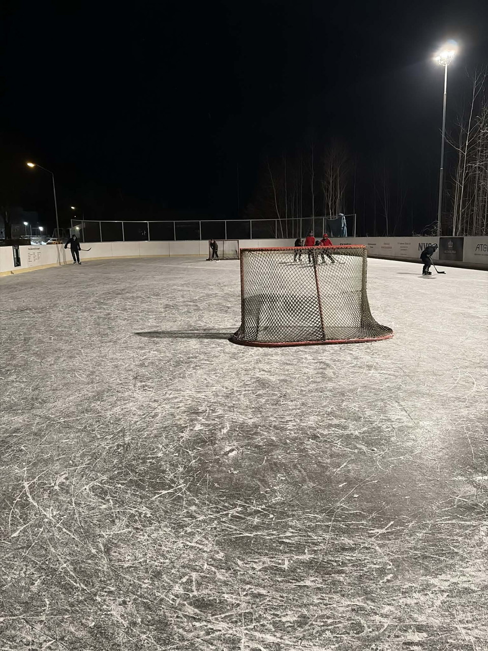 Barn och hockeymål på isen