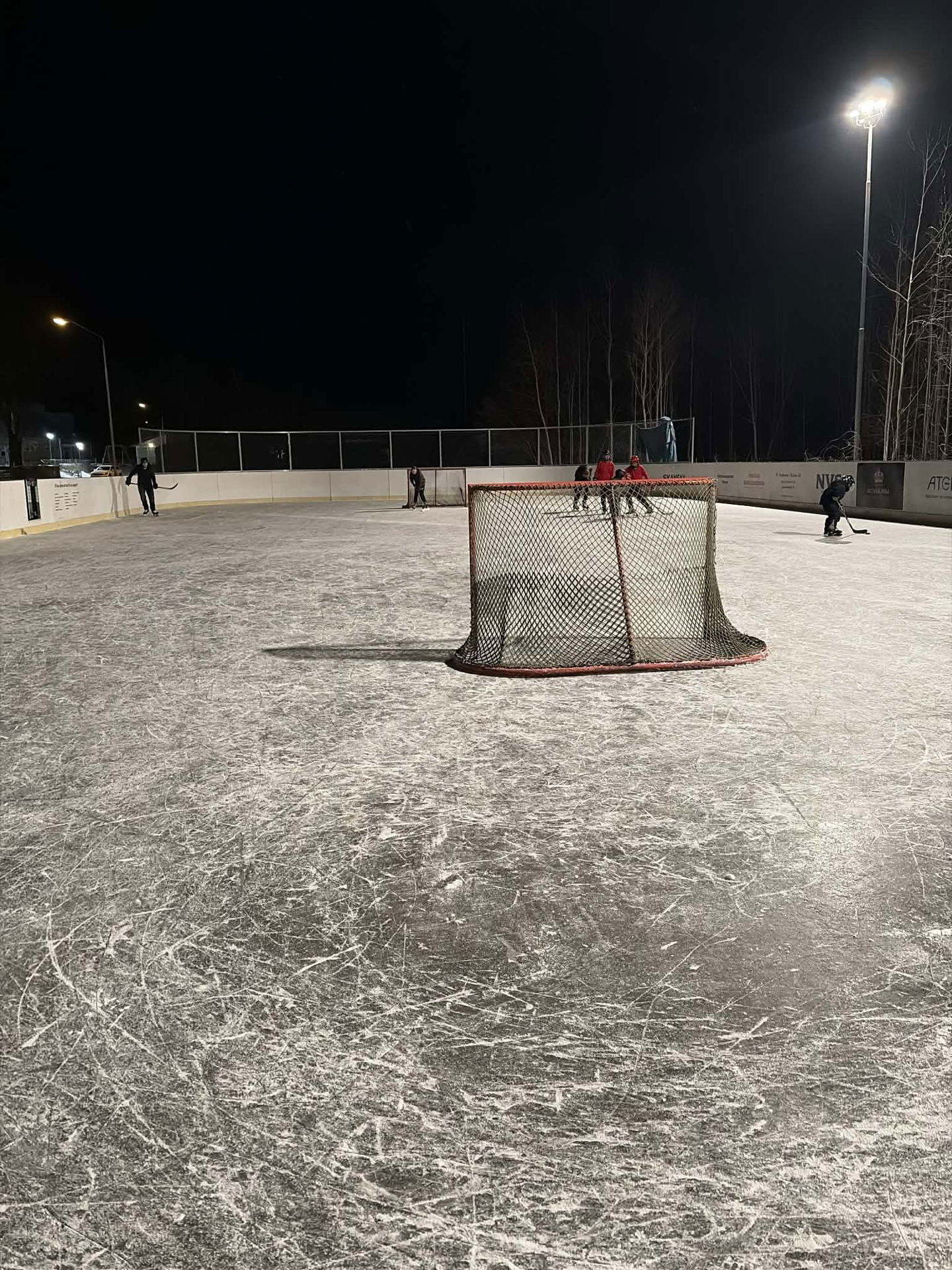 Barn och hockeymål på isen