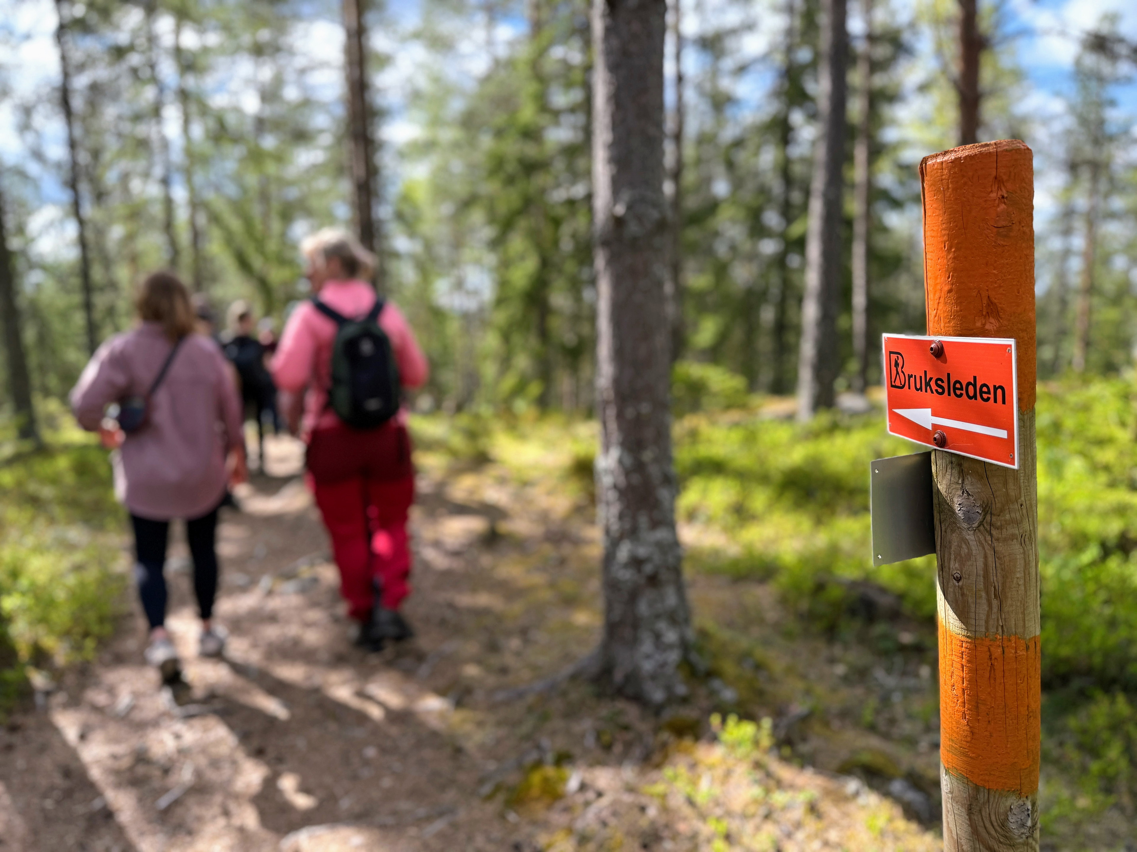Sök LONA-bidrag för digital information om vandringsleder