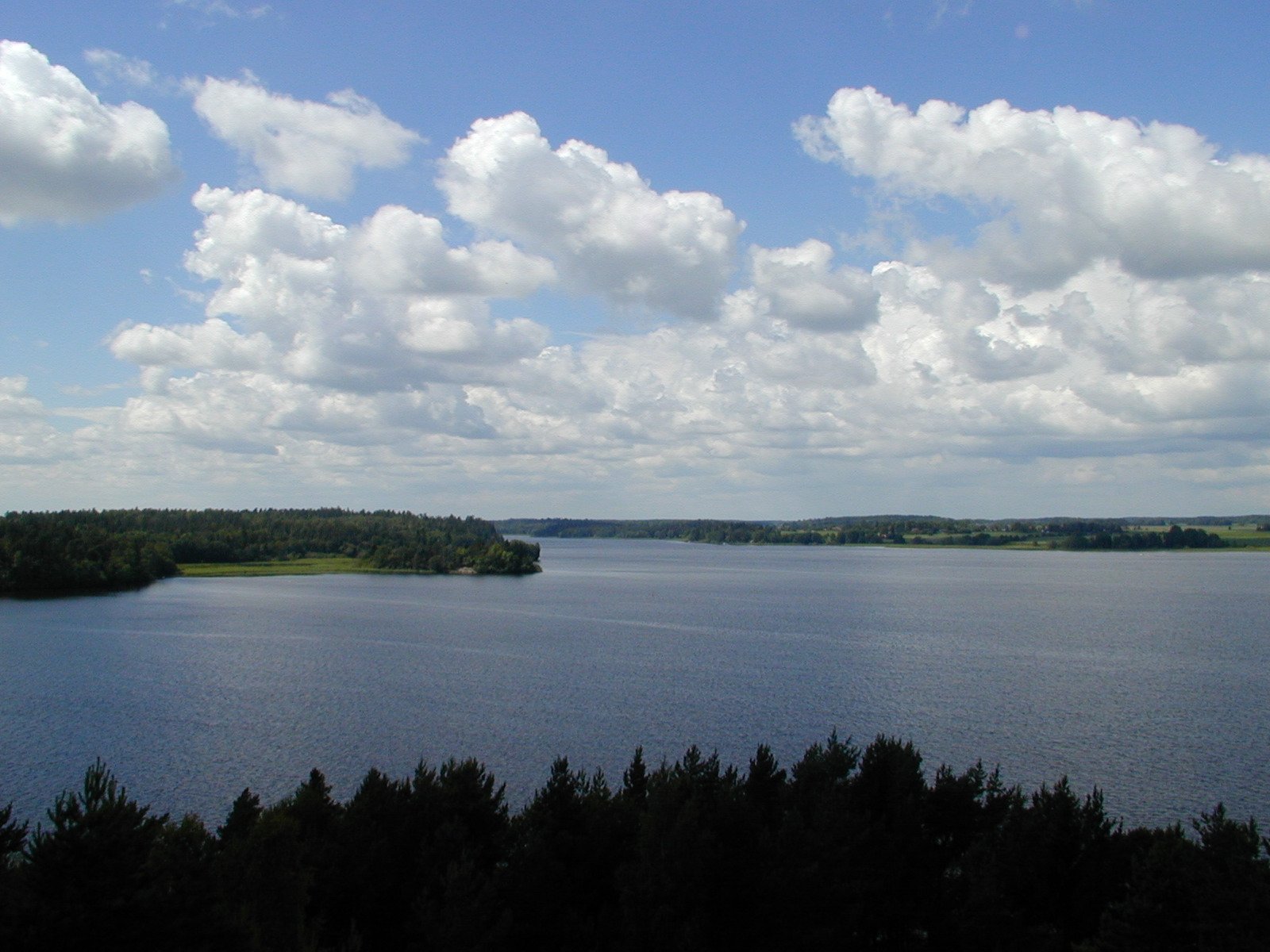 Utsikt över sjön Mälaren och vikar med skog.
