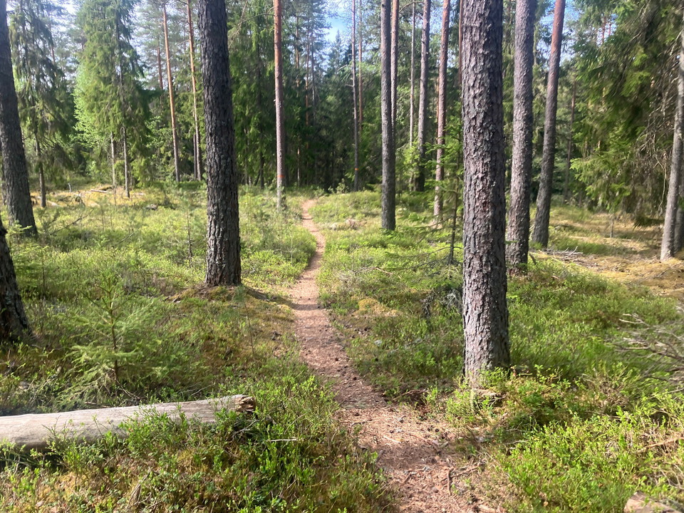 Västerrudsleden går i huvudsak genom kuperad skogsmark