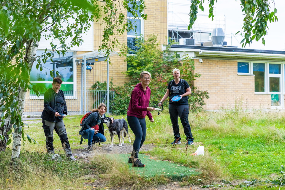 Ett glatt gäng spelar discgolf
