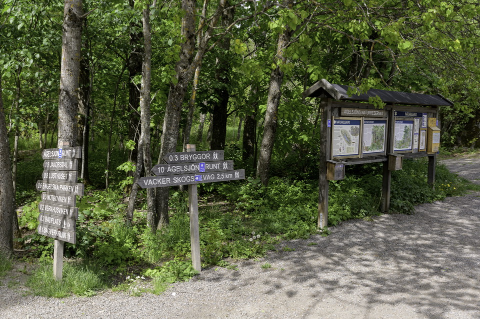 Foto: Mattias Åström