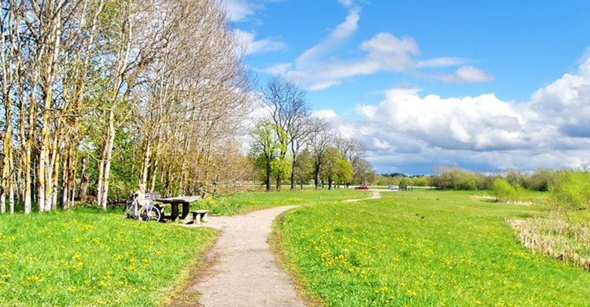 Lättframkomlig gångväg i området Smedstad dammar
Etapp: Djurgården-Vidingsjö
Linköping