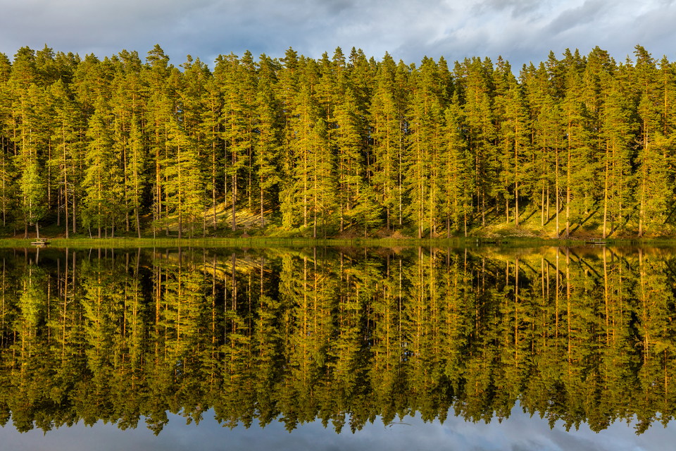 Foto: Marcus Westberg