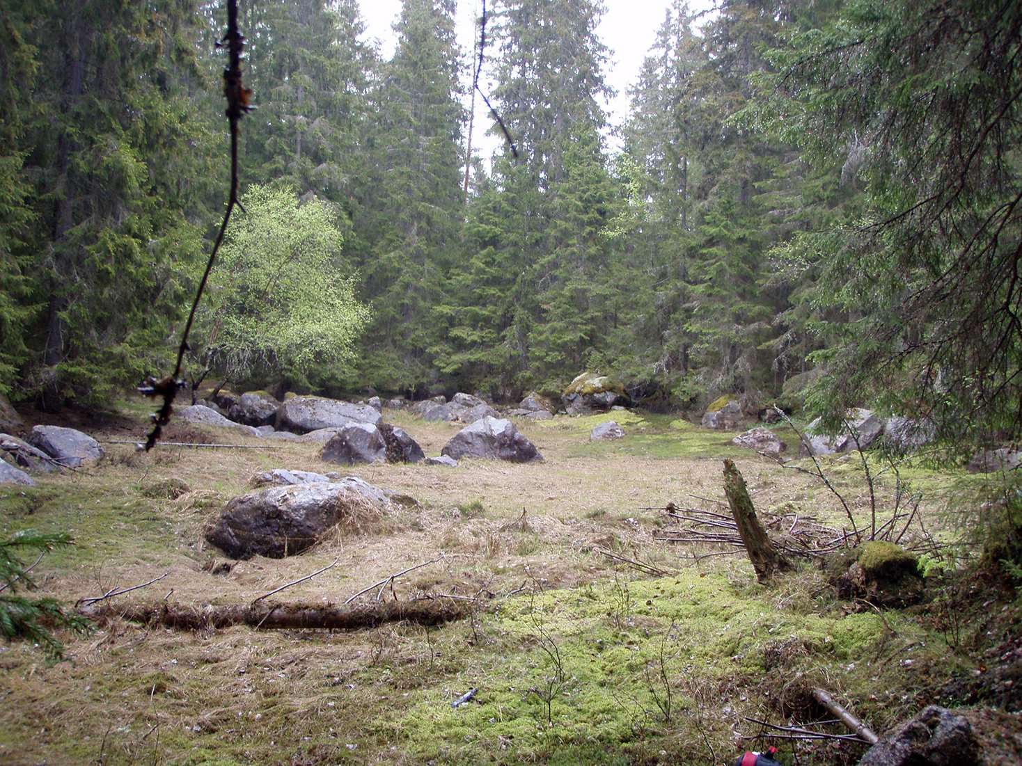 Skogsglänta med ett antal stenar mitt i.
