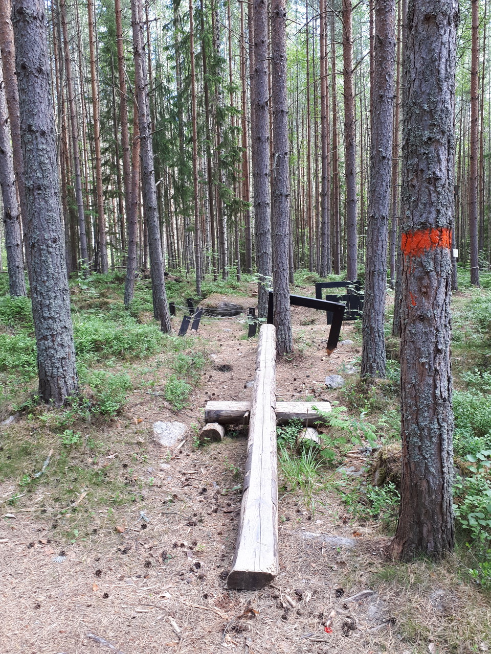 Här finns förutom gångstigarna även en hinderbana för barn!