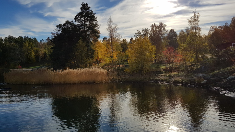 Strand väster om Sticklingebadet. Foto Lidingö stad