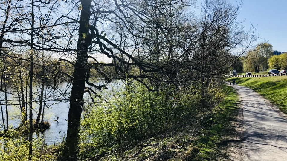Foto: Sofia Lindgren