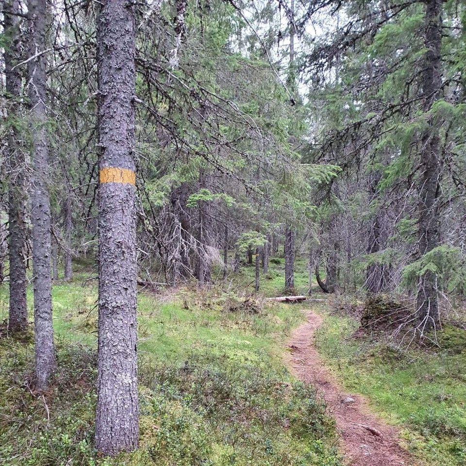 Vandringsled genom Naturreservatet