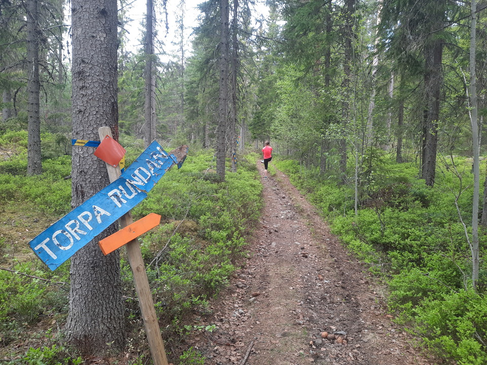 Två generationer vägvisare i en korsning