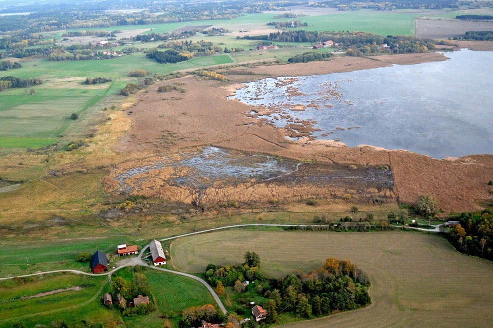 Från luften kan man se hur strandängarna betats och trampats.