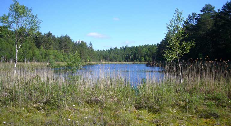 Storlavens naturreservat